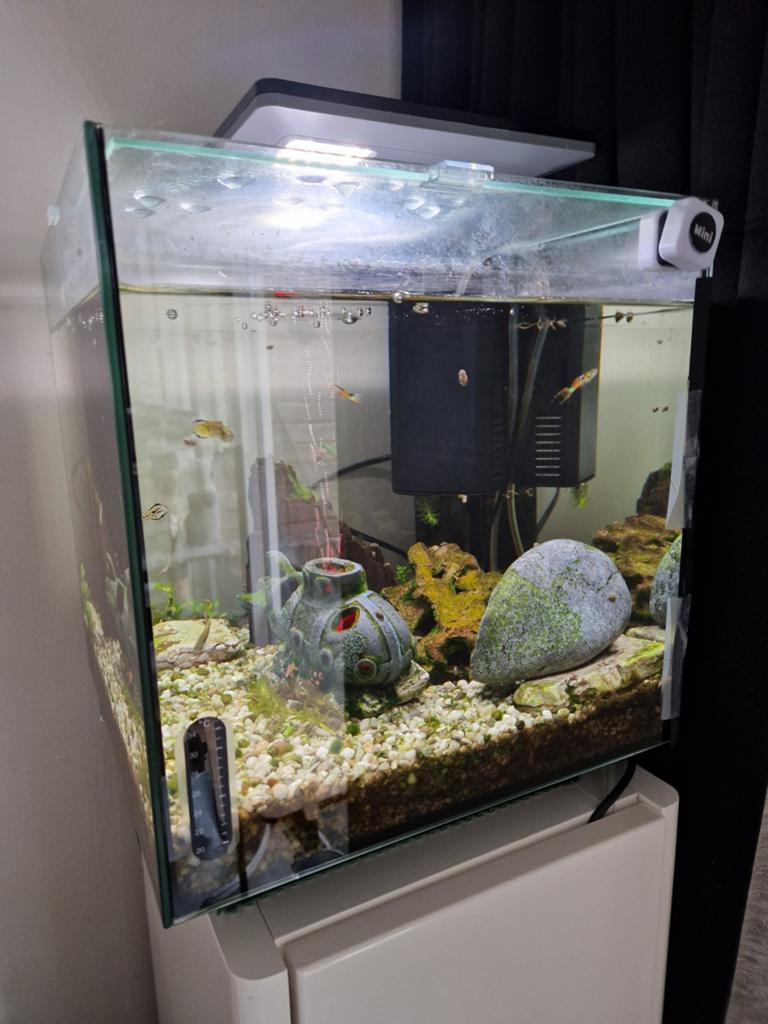 Aquarium Qubiq pro  bijna nieuw, Dieren en Toebehoren, Ophalen, Inclusief toebehoren, Zo goed als nieuw, Leeg aquarium