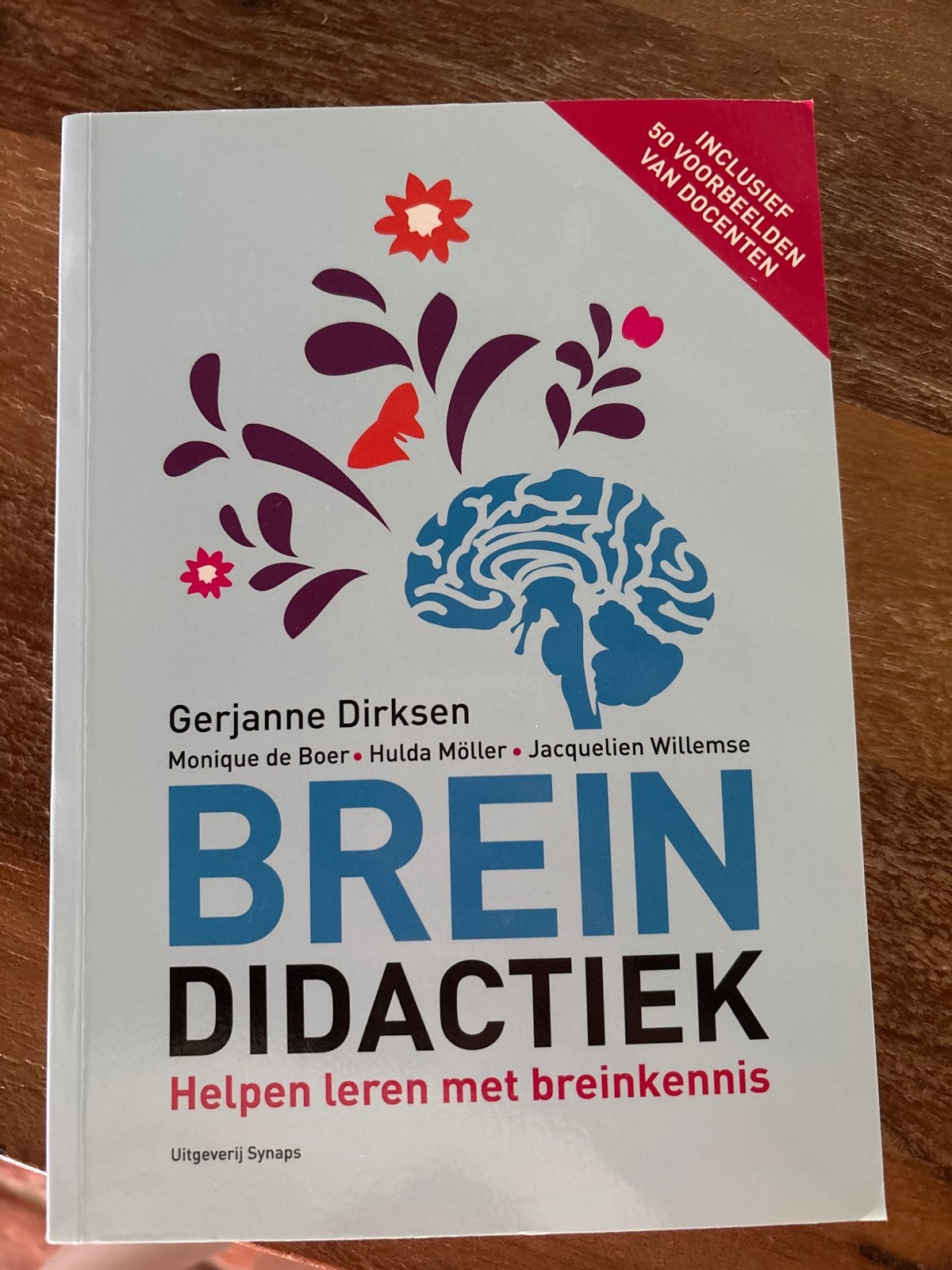 Breindidactiek: Helpen leren met breinkennis - Gerjanne Dirk, Ophalen of Verzenden, Beta, Zo goed als nieuw, HBO