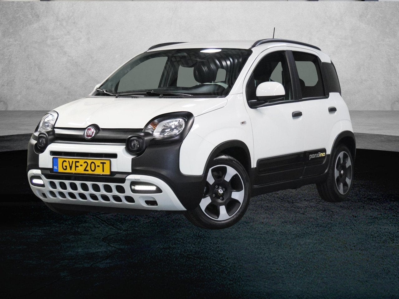 Fiat Panda 1.0 Hybrid Pandina | 1ste eigenaar | Apple Carpla, Gebruikt, Panda, Bedrijf, Handgeschakeld