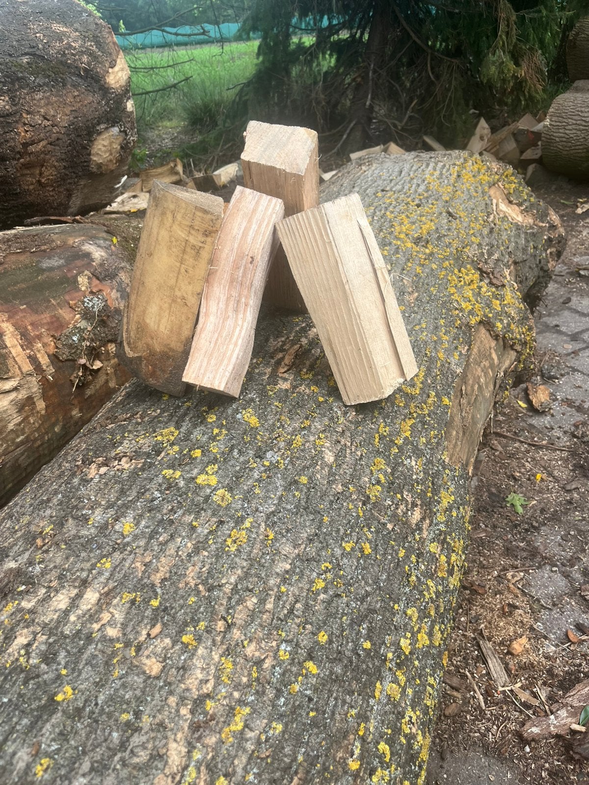 Droog haardhout, Tuin en Terras, Haardhout, 6 m³ of meer, Ophalen of Verzenden, Eikenhout, Blokken