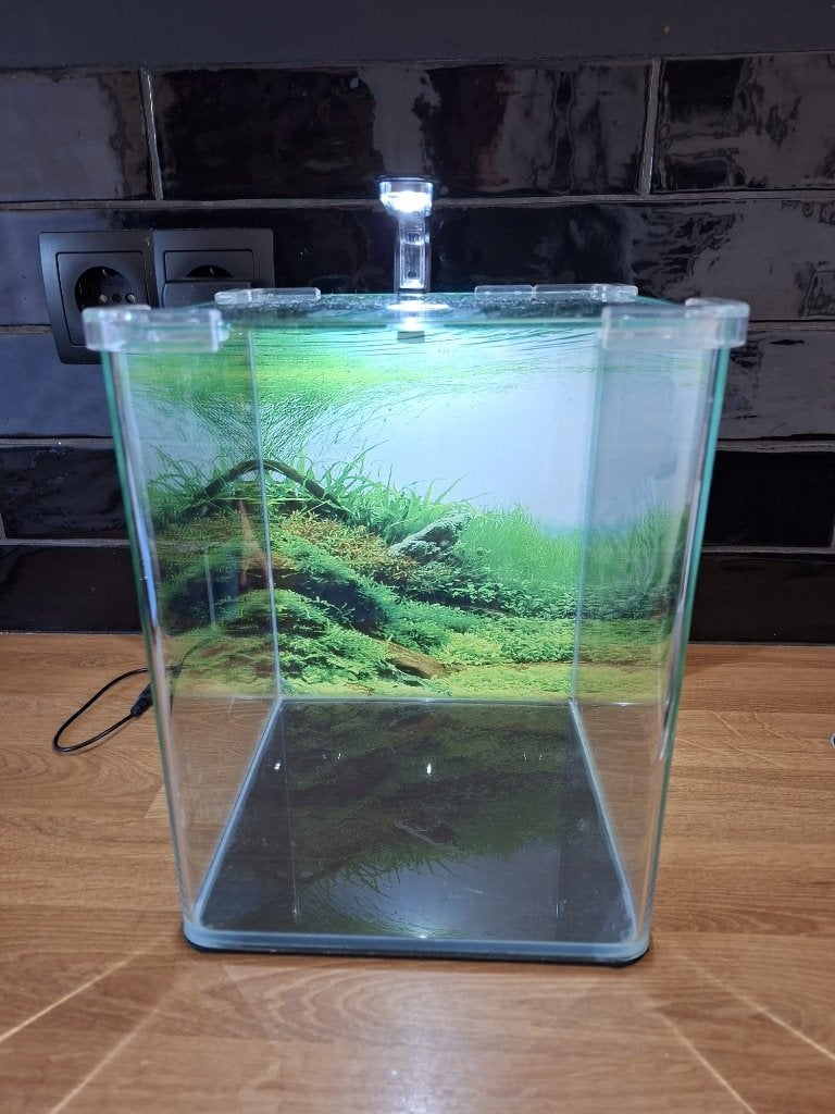 Dennerle Nano cube 10 ltr, Dieren en Toebehoren, Vissen | Aquaria en Toebehoren, Ophalen, Gebruikt, Dennerle, Leeg aquarium