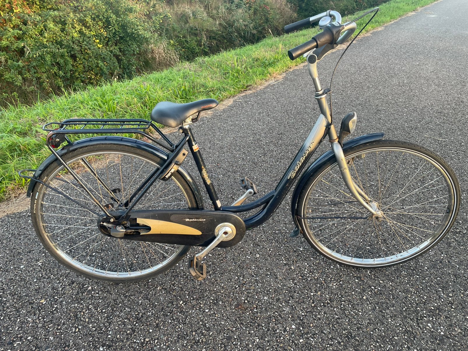 BATAVUS H 50 cm 28 “ damesfiets 5V RVS velgen fiets rijklaar, Ophalen, Gebruikt, Versnellingen, Batavus