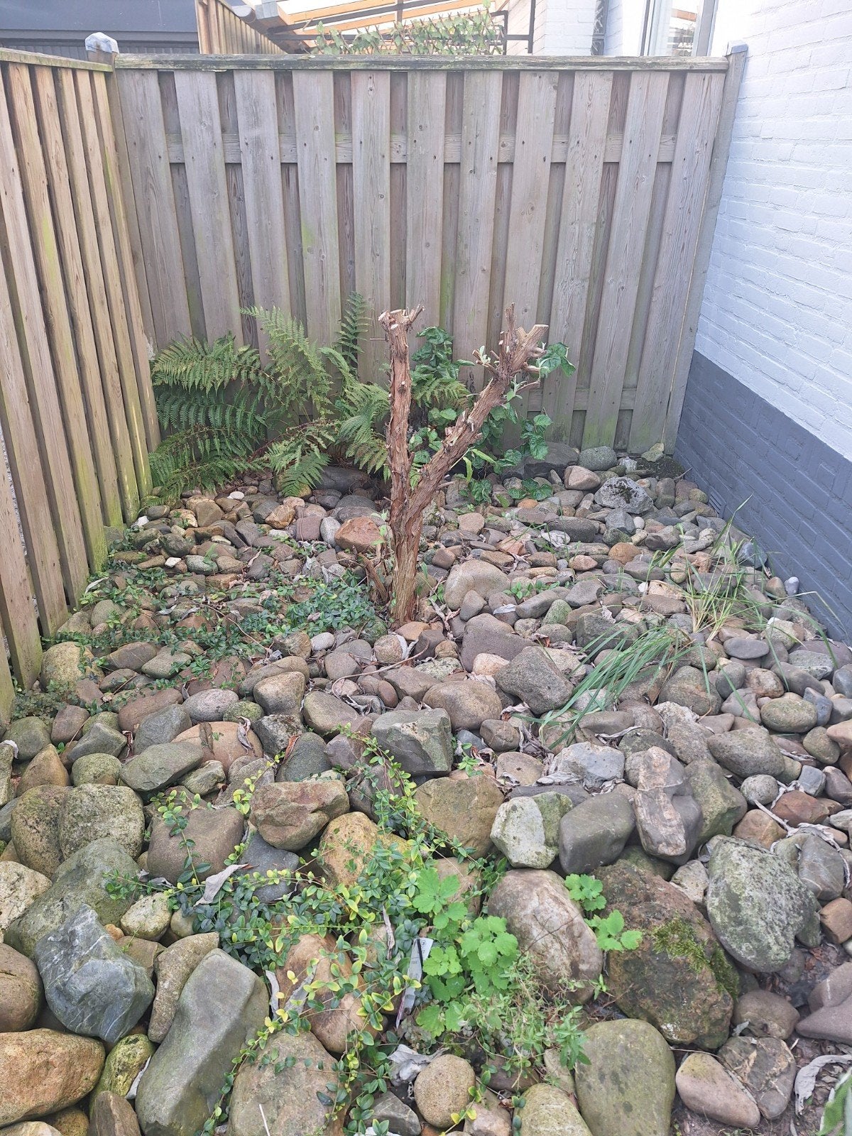 Gratis zwerfkeien voor tuin of decoratie, Ophalen