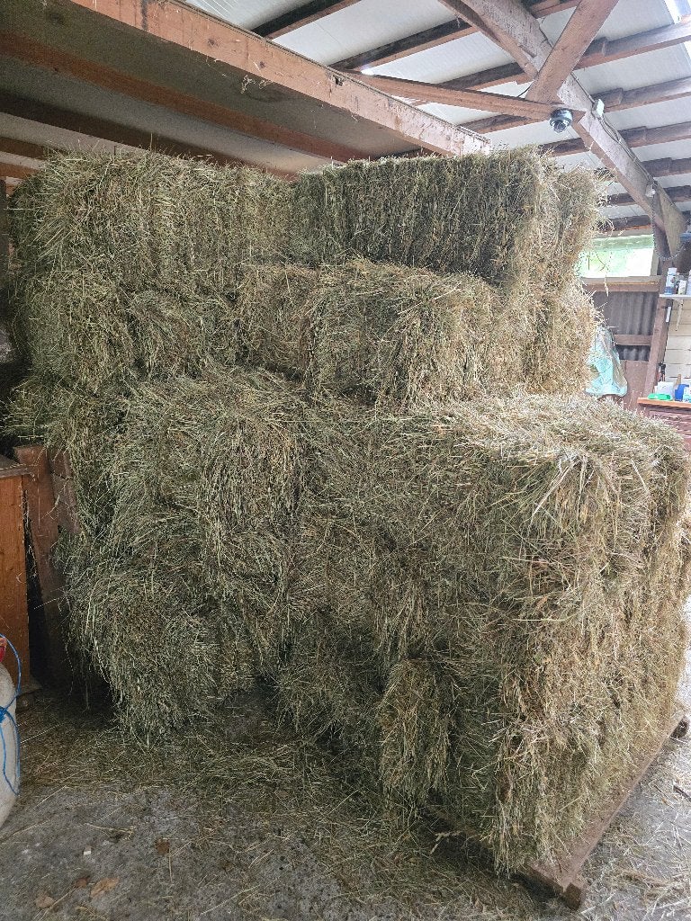 Paardenhooi, Ophalen, Vee