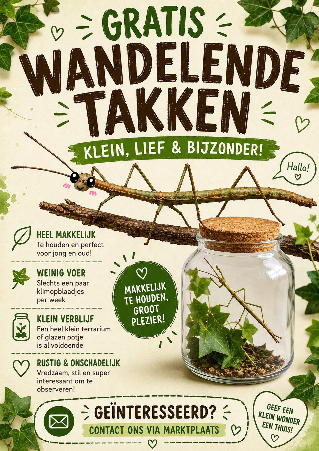 Gratis wandelende takken, lief en makkelijk huisdier, Wandelende tak