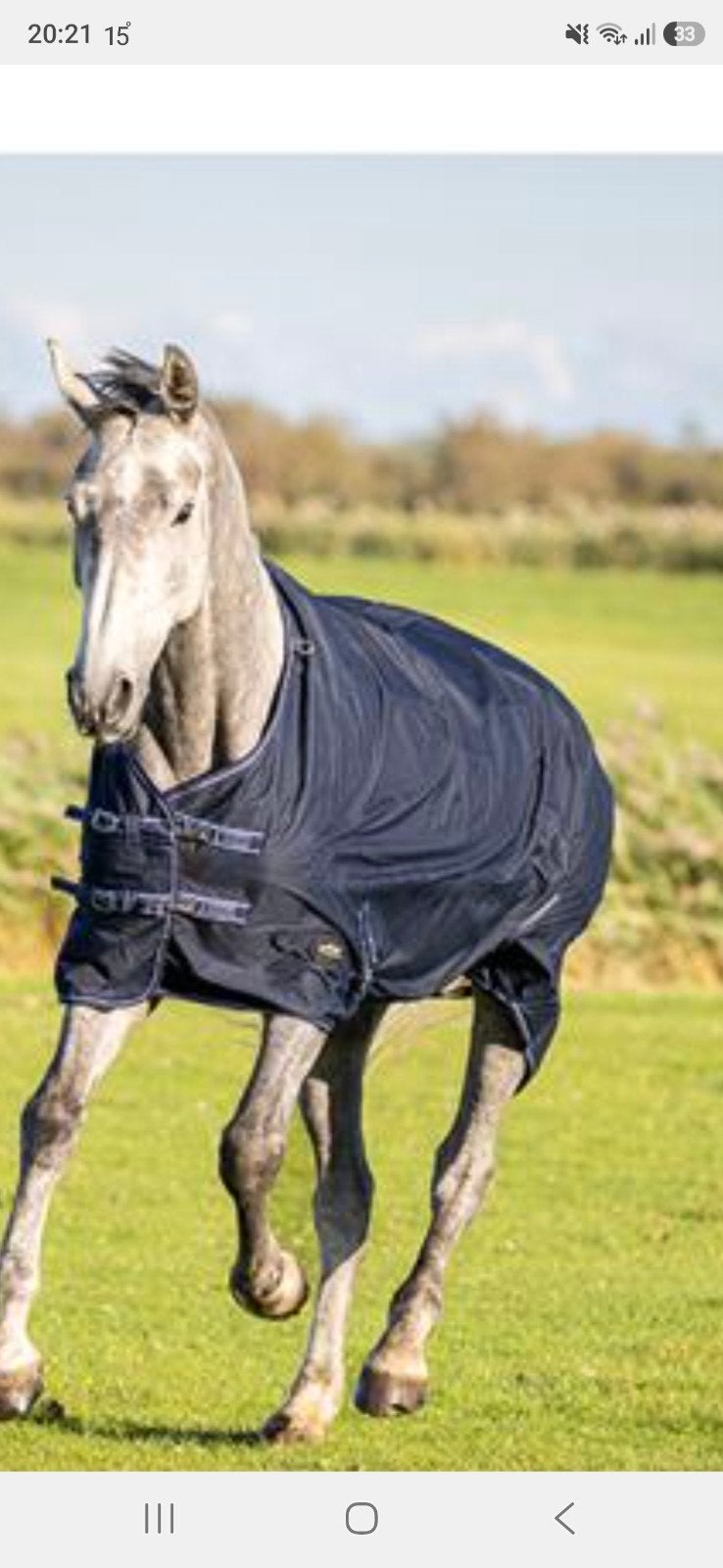 Deken voor een pony, Dieren en Toebehoren, Ophalen of Verzenden