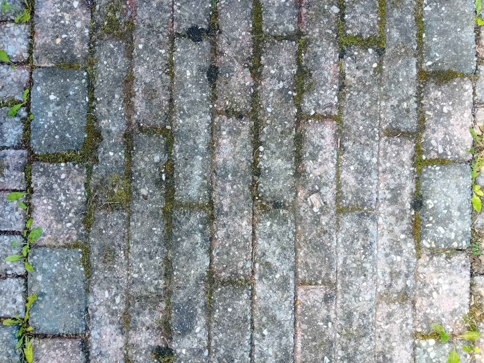 GRATIS  bestrating, Tuin en Terras, Ophalen, Gebruikt, Klinkers, 5 tot 10 m²