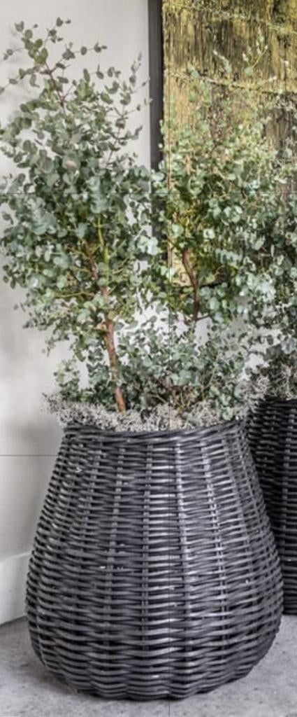 Grote rotan mand / basket/ plantenmand, Ophalen of Verzenden, Rond