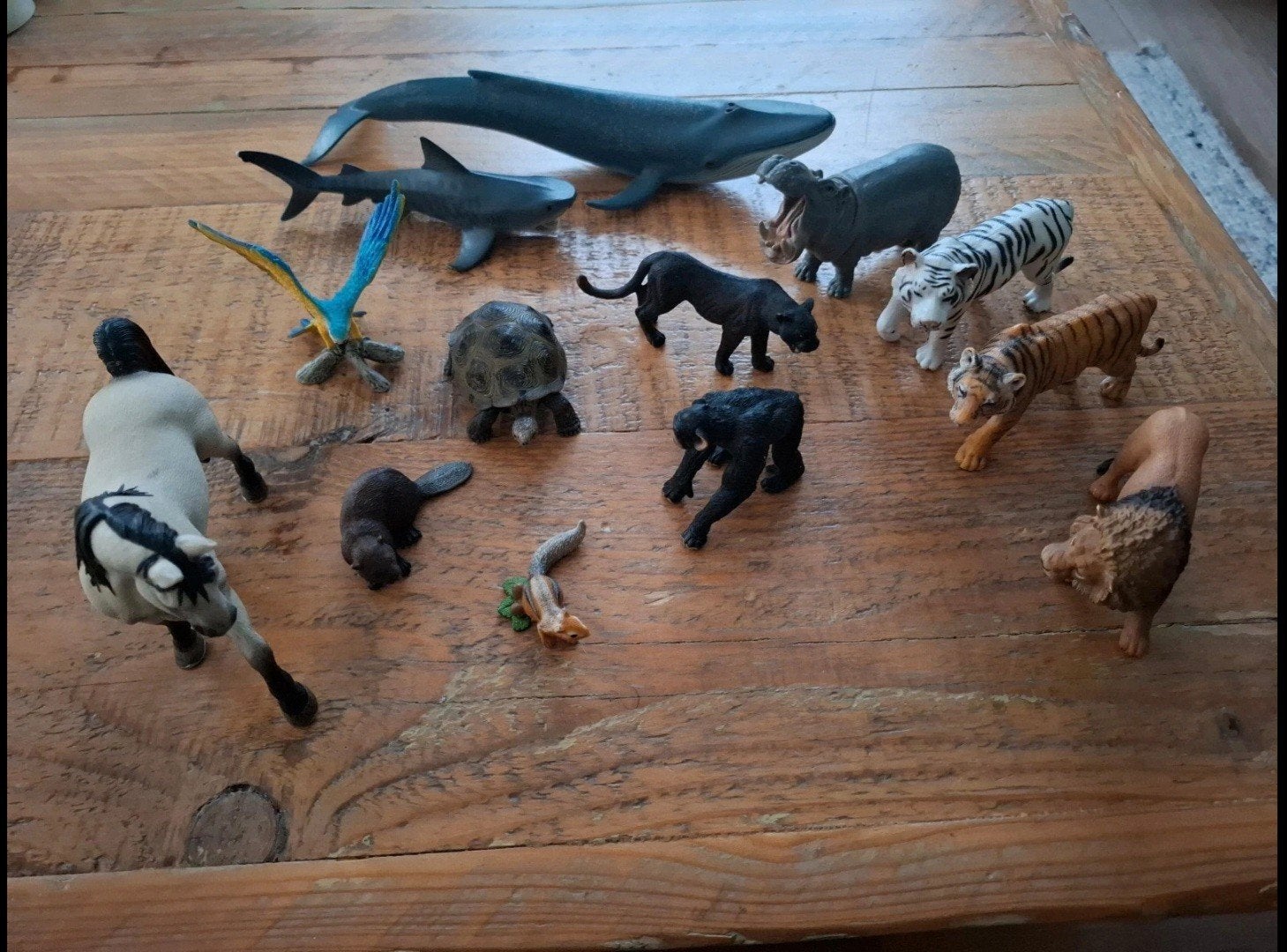 Schleich set 13 stuks - Walvis, haai, tijger, leeuw en meer, Ophalen of Verzenden, Gebruikt, Jongen of Meisje