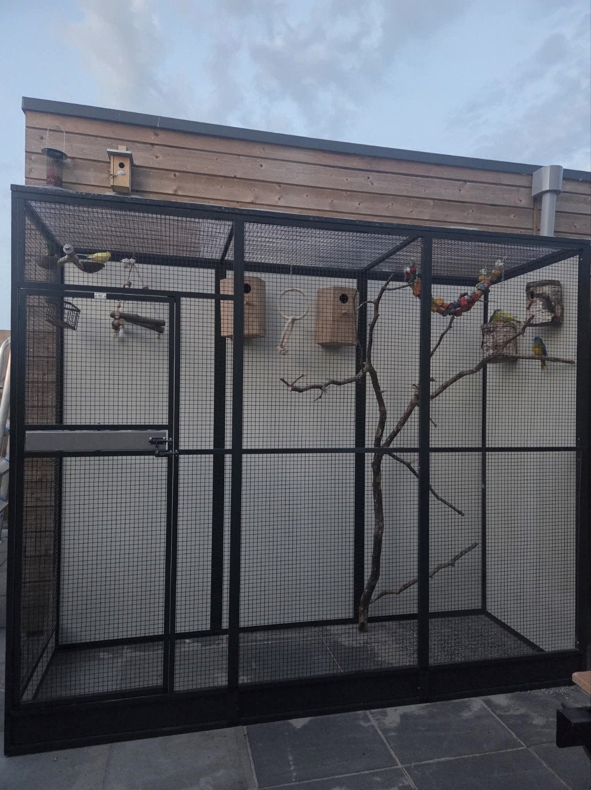 Gezocht Gratis vogelkooien! Opvang!, Dieren en Toebehoren, Ophalen of Verzenden