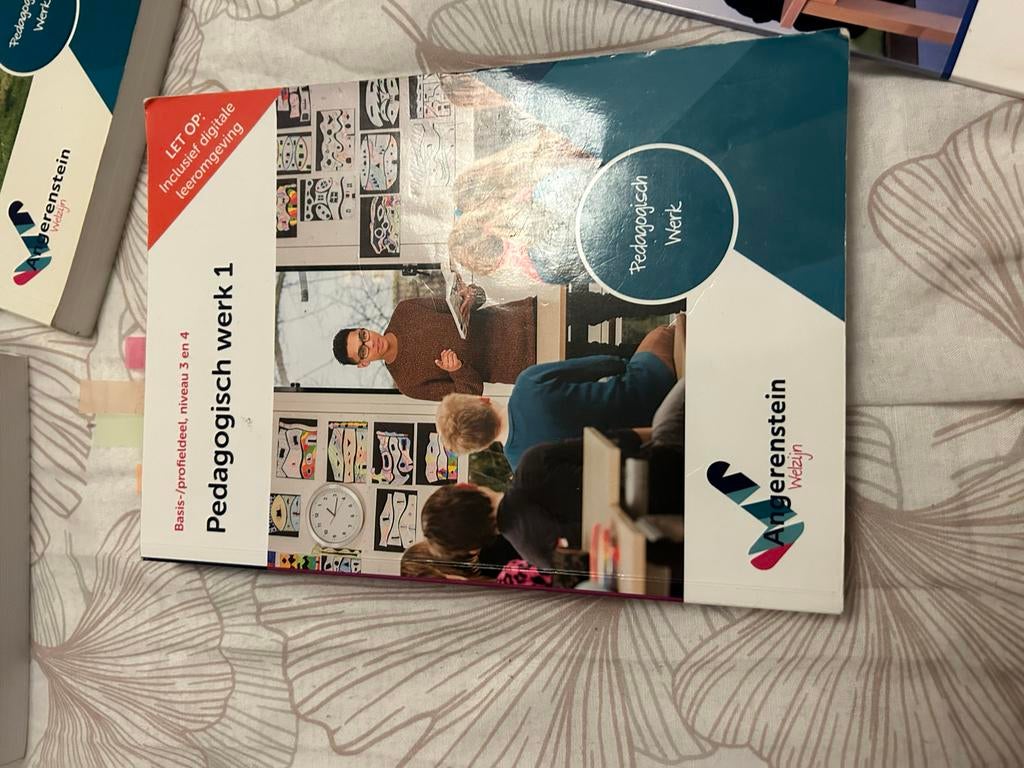 Pedagogisch Werk & Onderwijsassistent boeken (Angerenstein), Boeken, Schoolboeken, Ophalen of Verzenden, Zo goed als nieuw, Overige niveaus