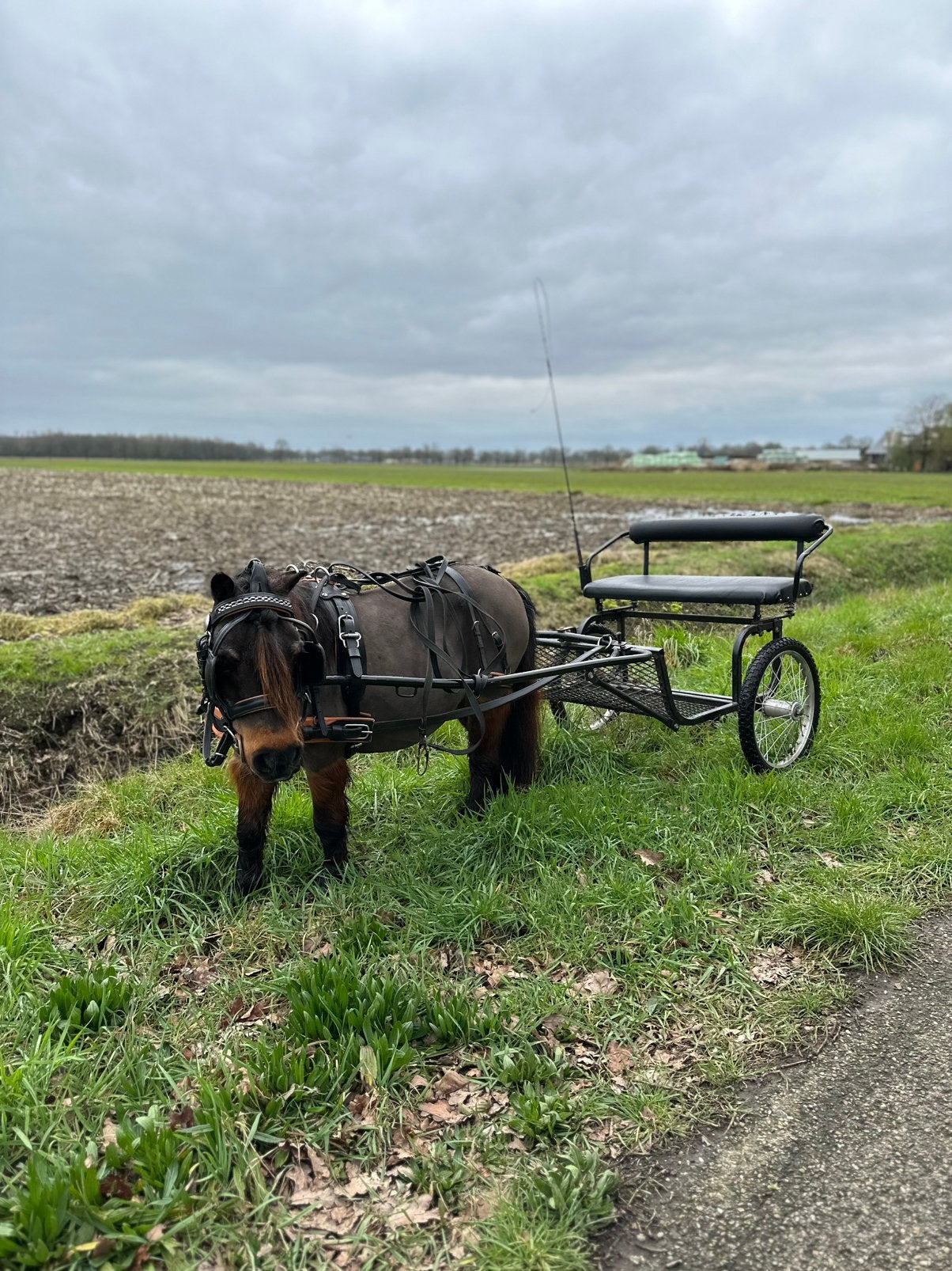 Sulky / tweewieler (mini)shet of kleine pony, Dieren en Toebehoren, Zo goed als nieuw, Pony