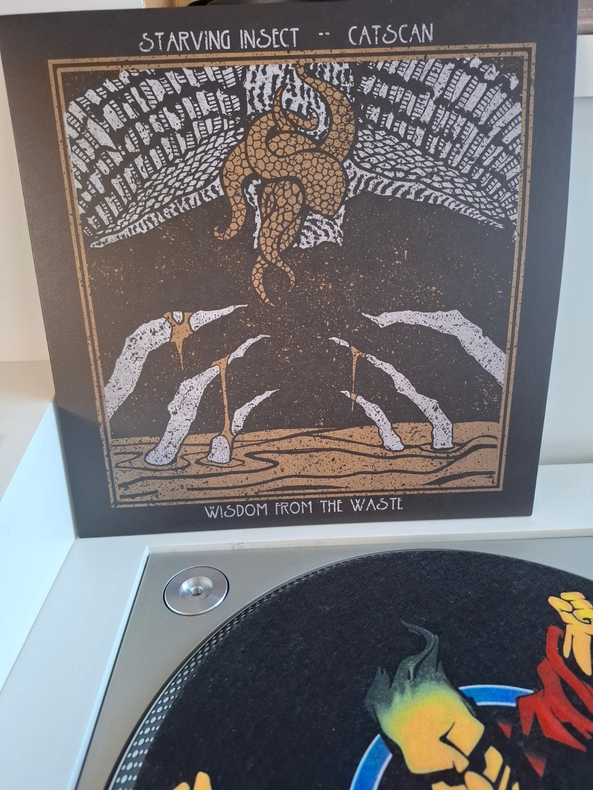 catscan & starving insect - rainmaker, Ophalen of Verzenden, 12 inch