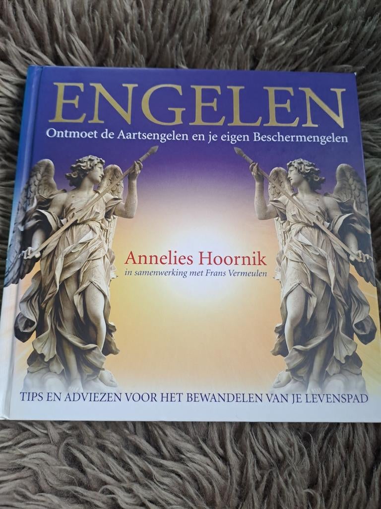 Engelen: Ontmoet de Aartsengelen & je eigen Beschermengelen, Achtergrond en Informatie, Spiritualiteit algemeen, Ophalen of Verzenden