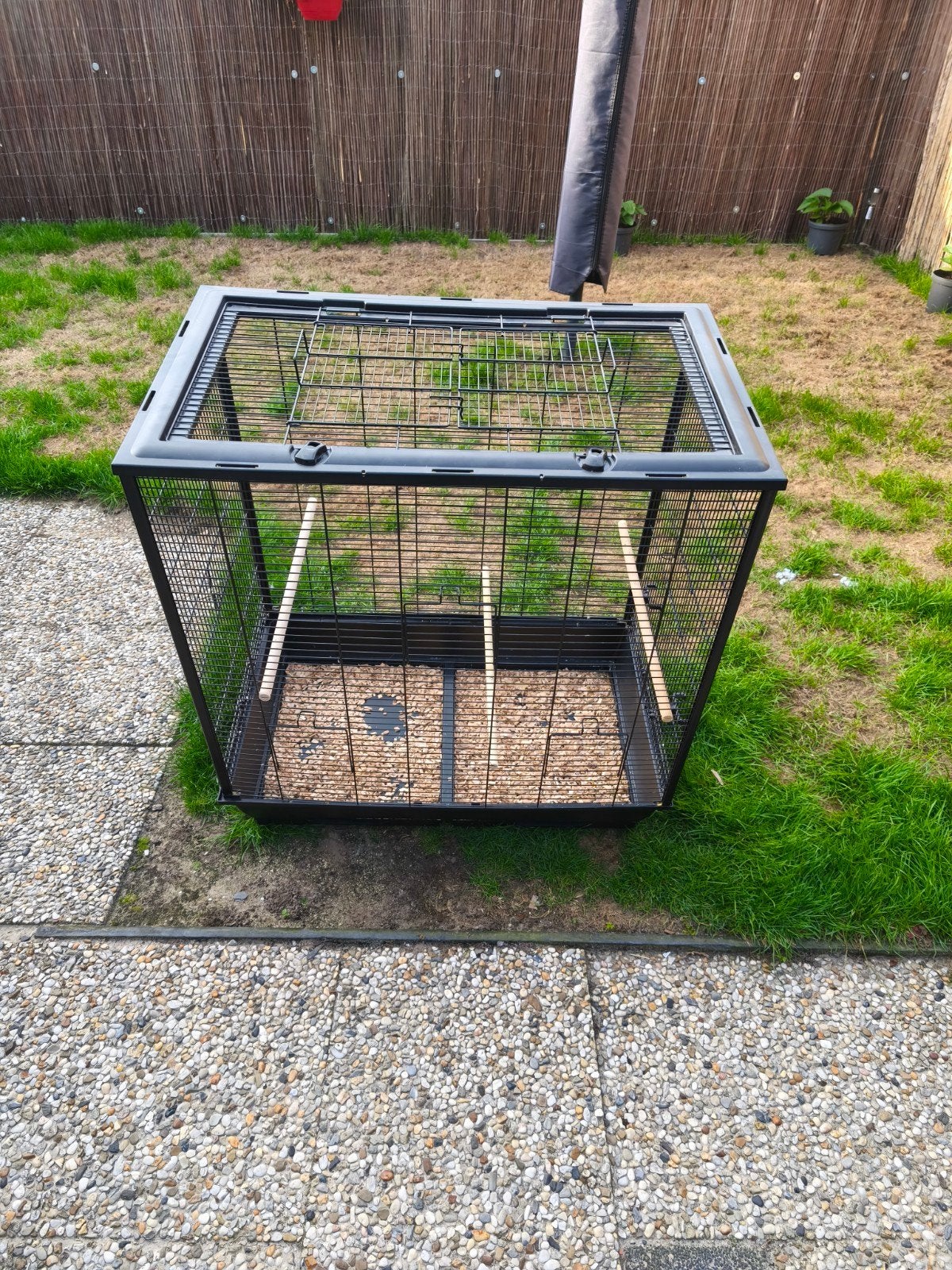 te koop vogelkooi, Ophalen