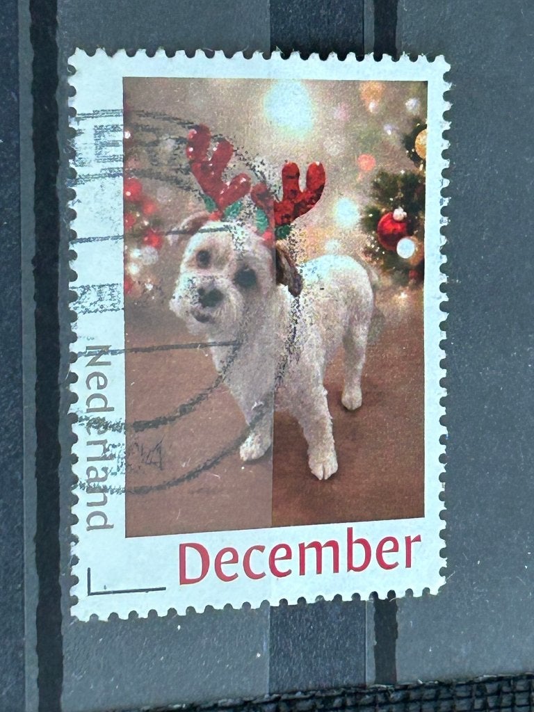 Persoonlijke kerst/december zegel. Hond. Bichon-Frisé, Ophalen of Verzenden, Na 1940, Gestempeld