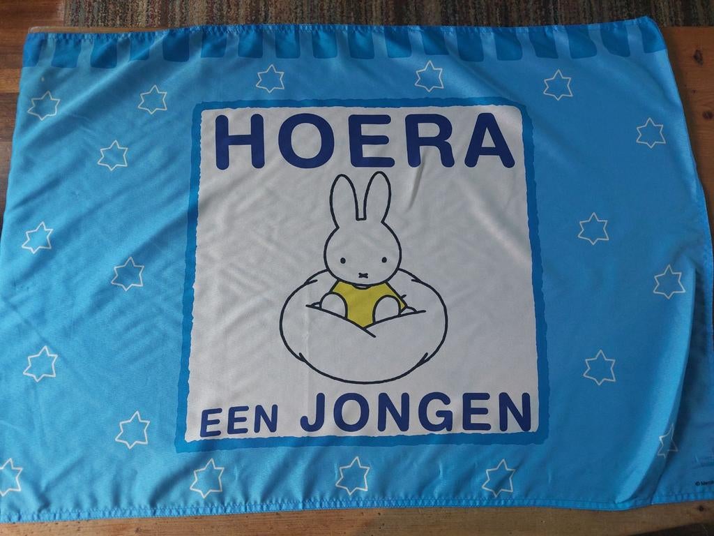 Geboortevlag/ geboortebord jongen  of meisje met vlaggenstok, Ophalen of Verzenden, Zo goed als nieuw