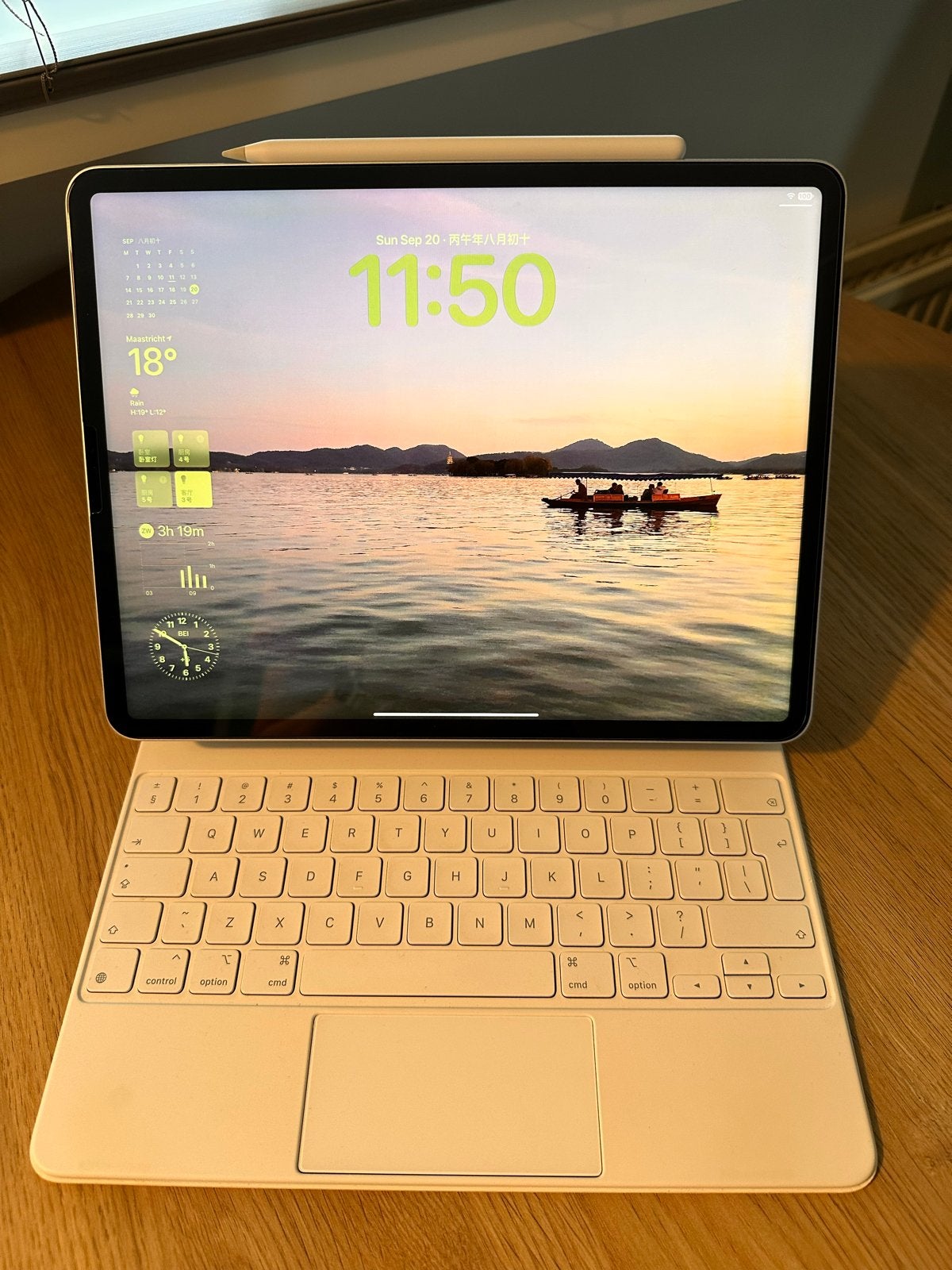 iPad Pro 12.9 (5th Gen）, Computers en Software, Ophalen, 12 inch, Zo goed als nieuw, Apple iPad Pro