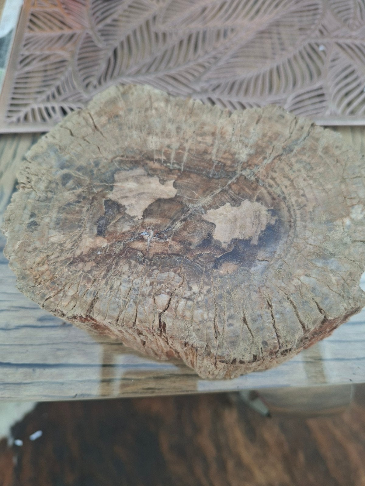 versteend hout, Ophalen