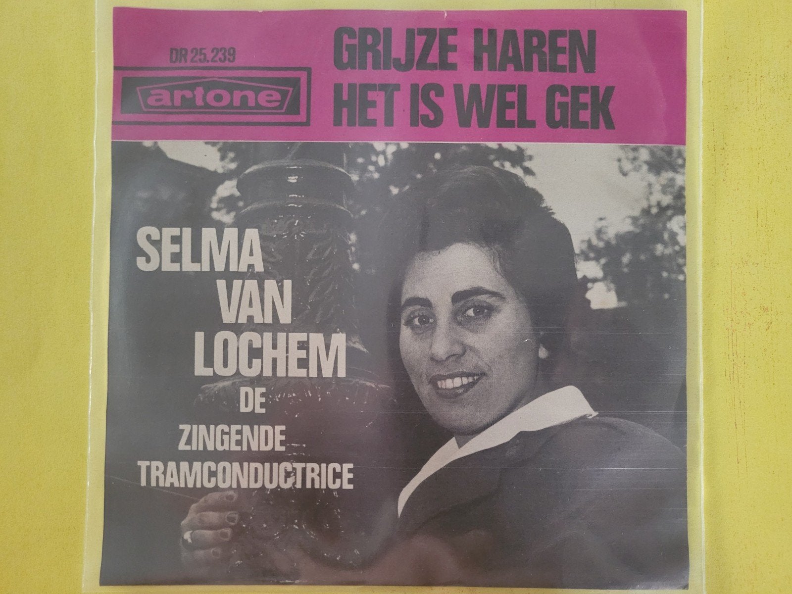 Selma van Lochem  - Grijze haren  - Het is wel gek., Ophalen, Zo goed als nieuw, Overige formaten, Levenslied of Smartlap