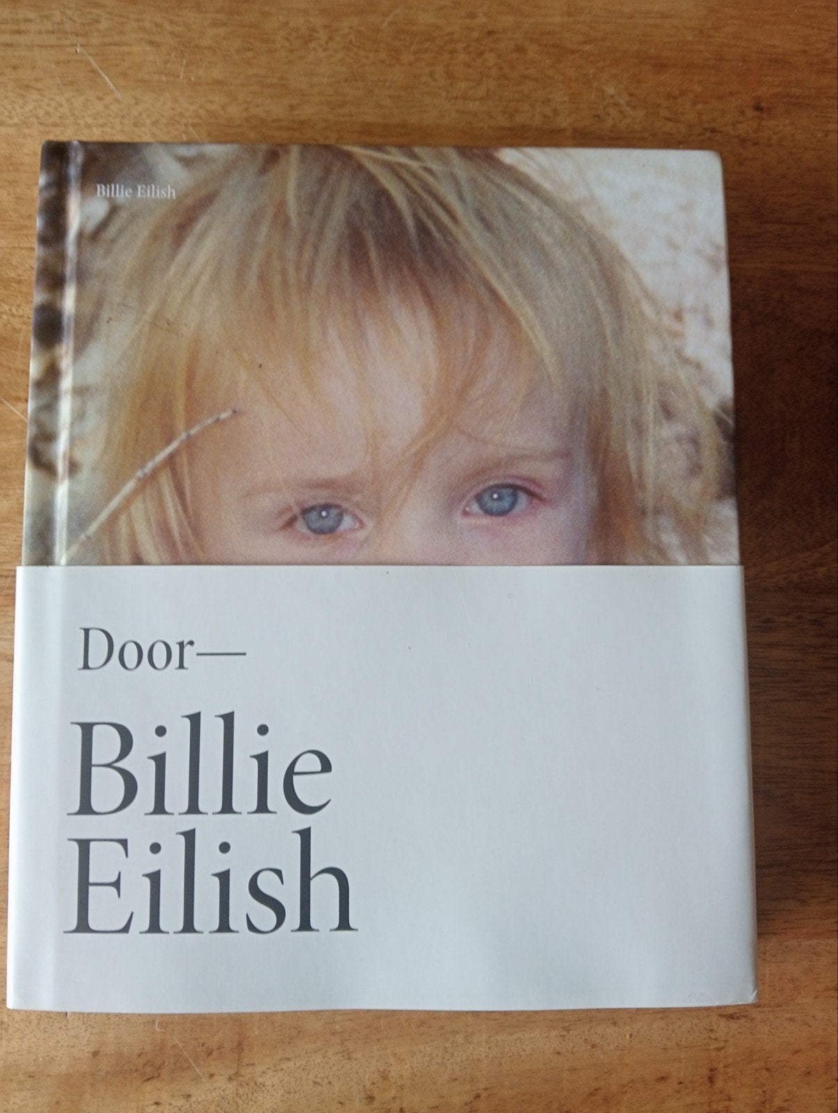 Billie Eilish Fotoboek - 336 pagina's - Nieuwstaat, Boeken, Ophalen of Verzenden, Zo goed als nieuw, Artiest