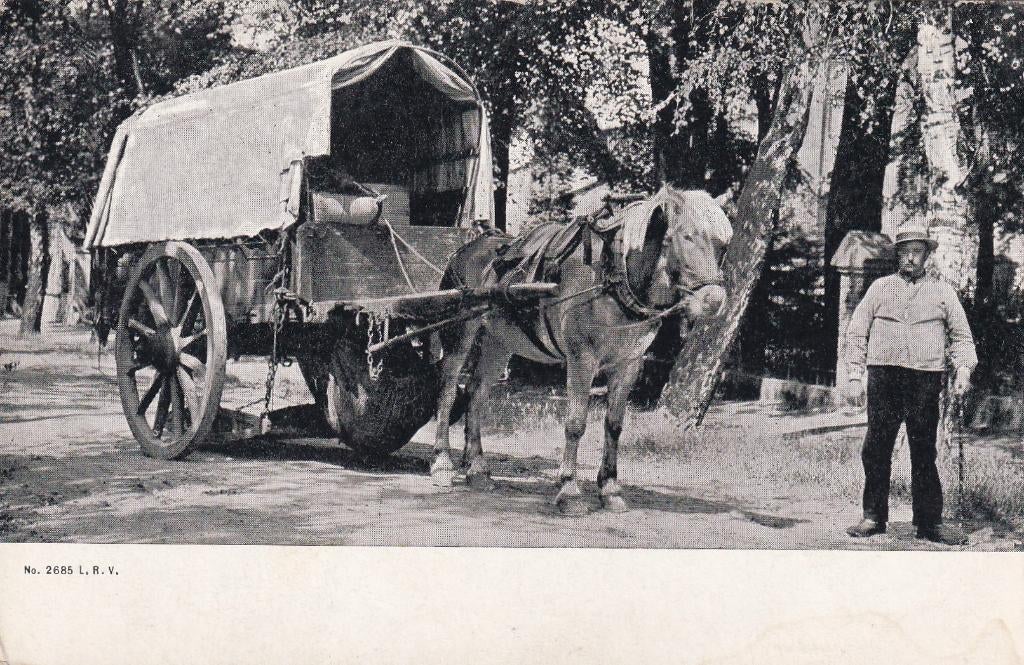 Enschede, Paard., Verzenden, Voor 1920, Ongelopen, Overijssel