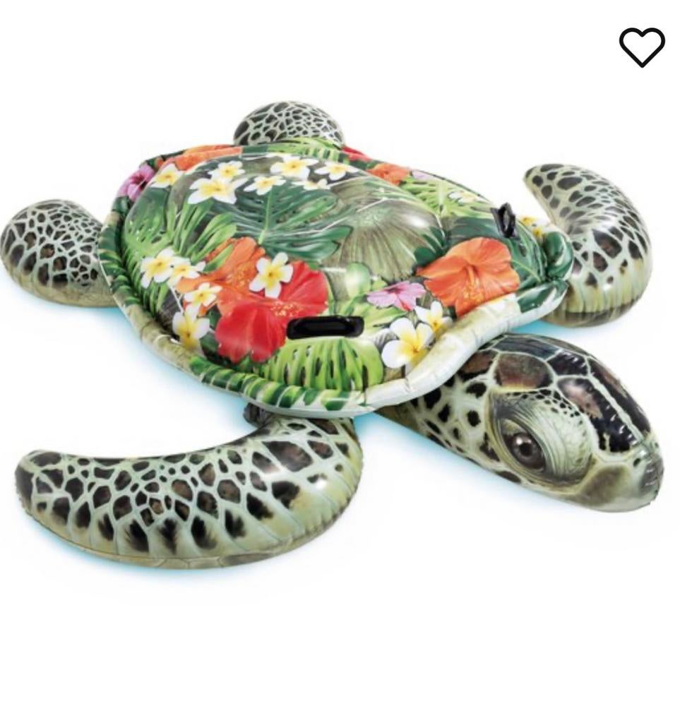 Schilpad xxl groot, Sieraden, Tassen en Uiterlijk, Broches, Ophalen of Verzenden, Zo goed als nieuw, Overige materialen