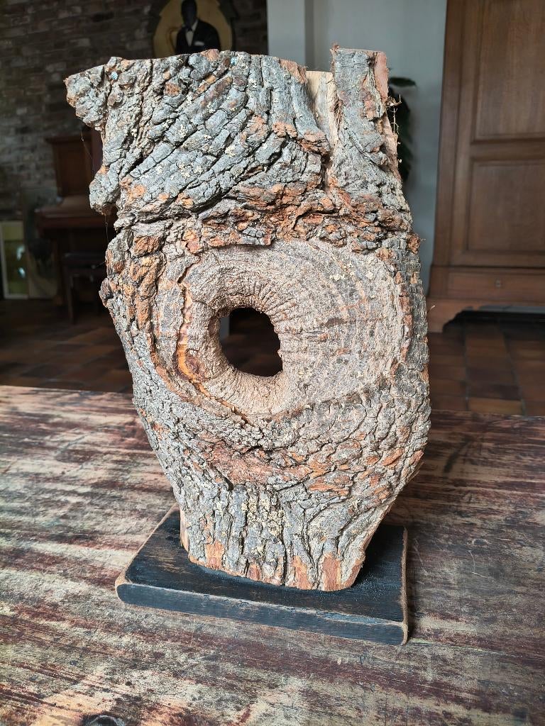 beeld hout stam vogel gat, Ophalen