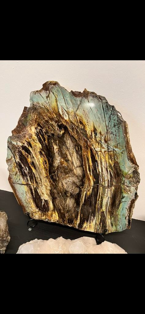 zeldzame plak chrysocolla versteend hout uit Turkije Tokat, Ophalen of Verzenden