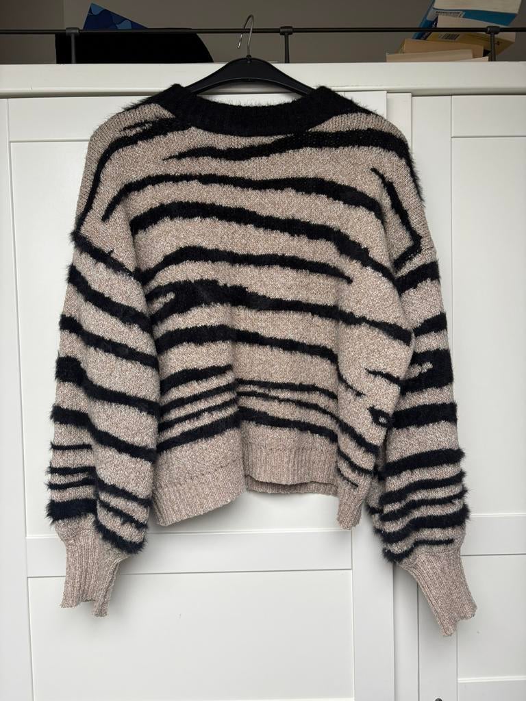 Zebra trui, Ophalen of Verzenden, Gedragen, Maat 38/40 (M), Beige