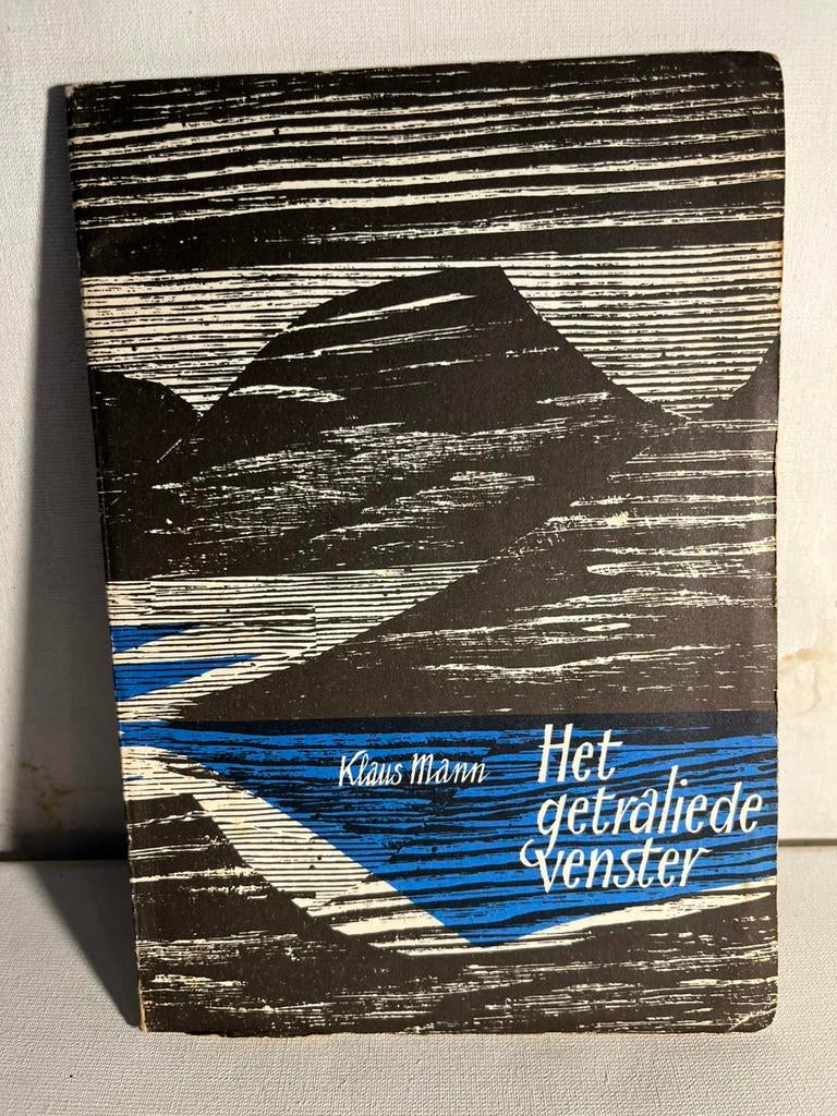 Het getraliede venster", een novelle door Klaus Mann, Boeken, Ophalen of Verzenden, Zo goed als nieuw