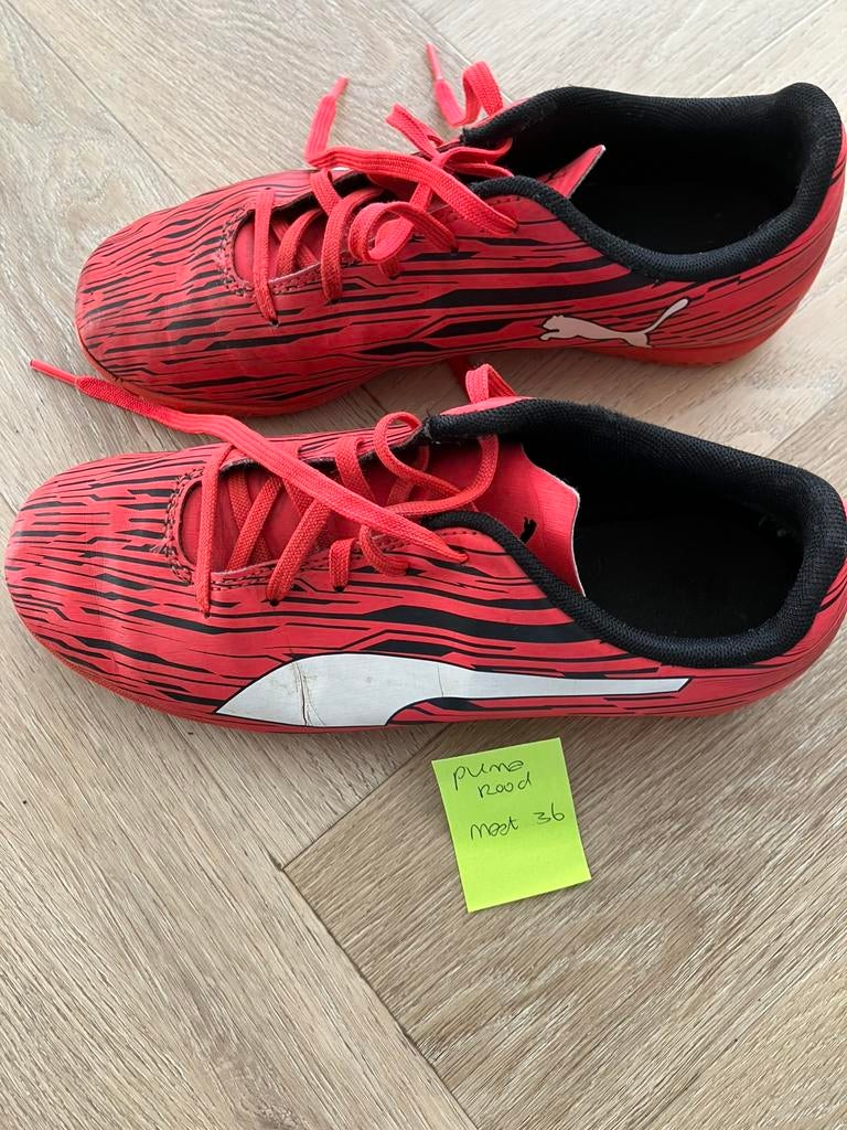 Voetbalschoenen Puma voor binnen, maat 36, Sport en Fitness, Voetbal, Gebruikt, Maat XS of kleiner, Schoenen, Ophalen of Verzenden