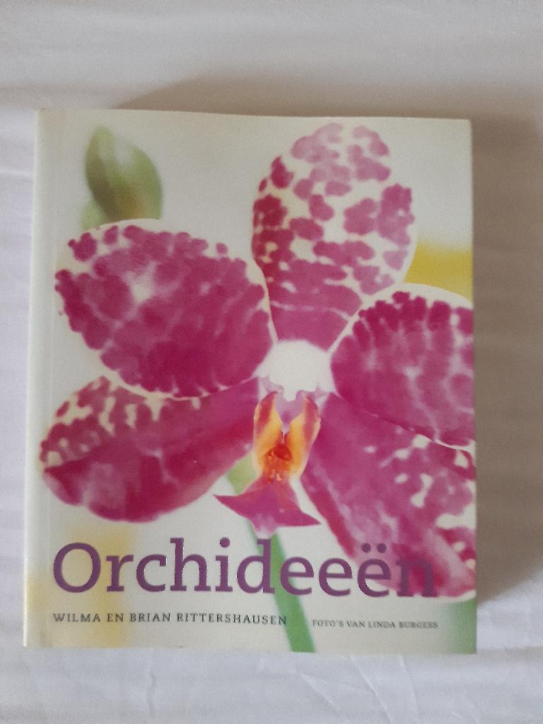 Boek over orchideeën, Ophalen of Verzenden, Zo goed als nieuw, Brian & Wilma Rittershausen, Interieur en Design