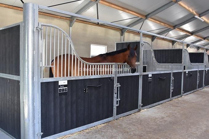 Stalling gezocht voor 2 paarden, Weidegang, 2 of 3 paarden of pony's