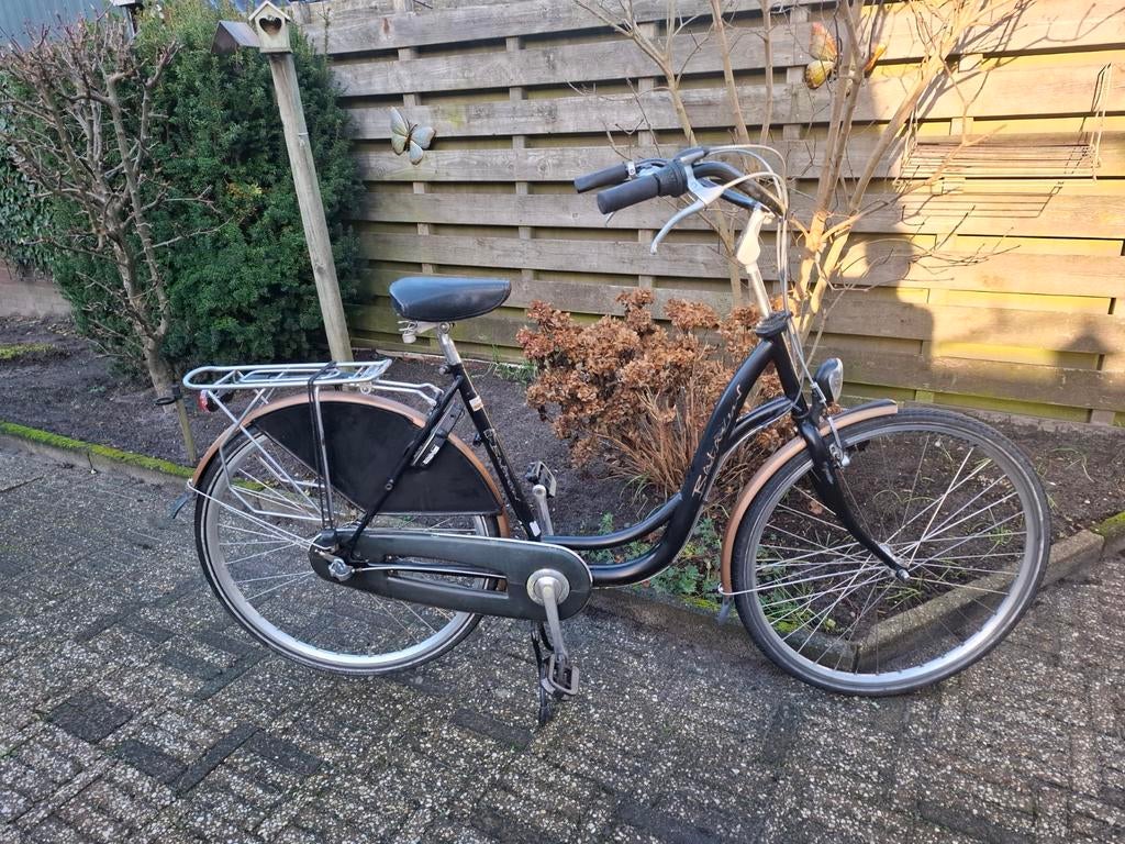 Mooi5e Batavus moederfiets, 2 zitjes, 53 tot 56 cm, Batavus, Ophalen of Verzenden