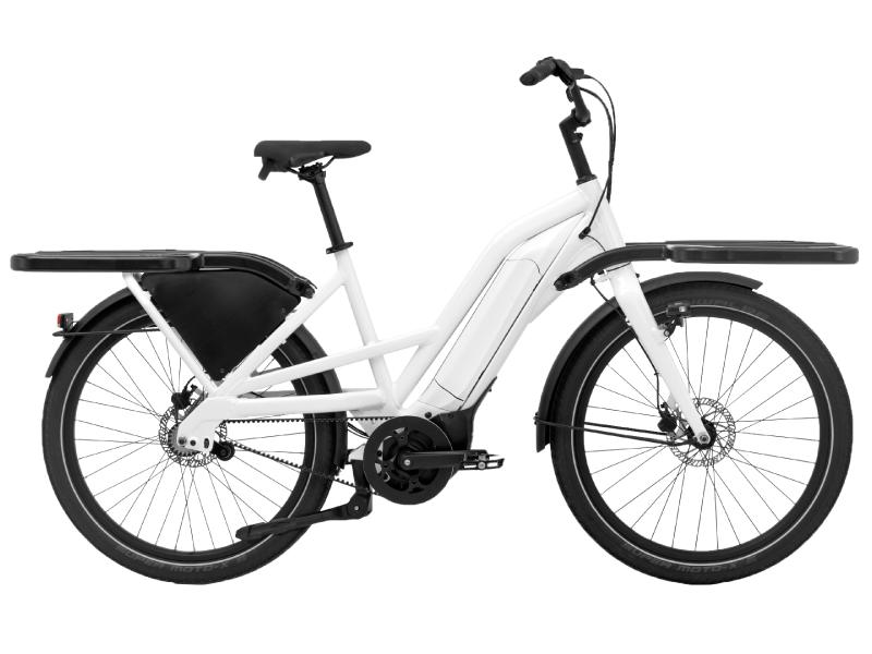 Giant Delivery E+, Ophalen, Gebruikt, Giant, 51 tot 55 cm