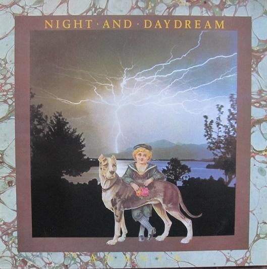 Ananta - Night and daydream (promo), Cd's en Dvd's, Vinyl | Overige Vinyl, Zo goed als nieuw, 12 inch, Ophalen of Verzenden