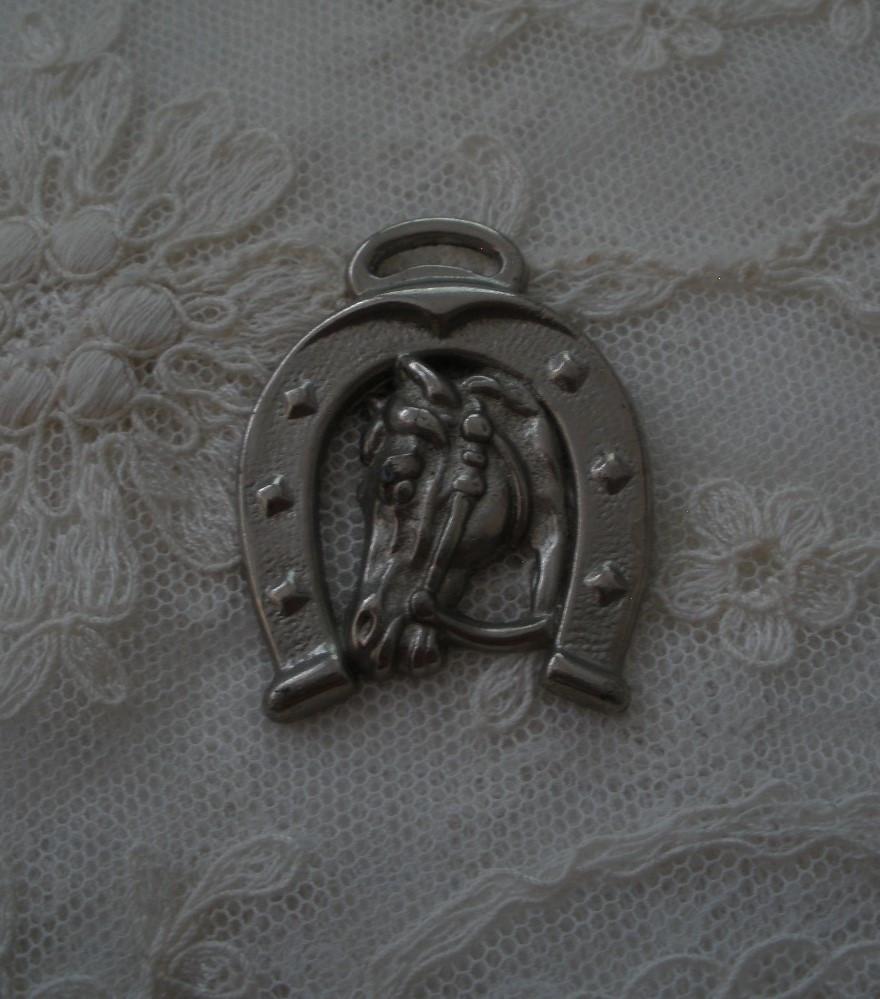 Vintage kettinghanger ?? Paard hoefijzer, Overige materialen, Ophalen of Verzenden, Zo goed als nieuw, Zilver
