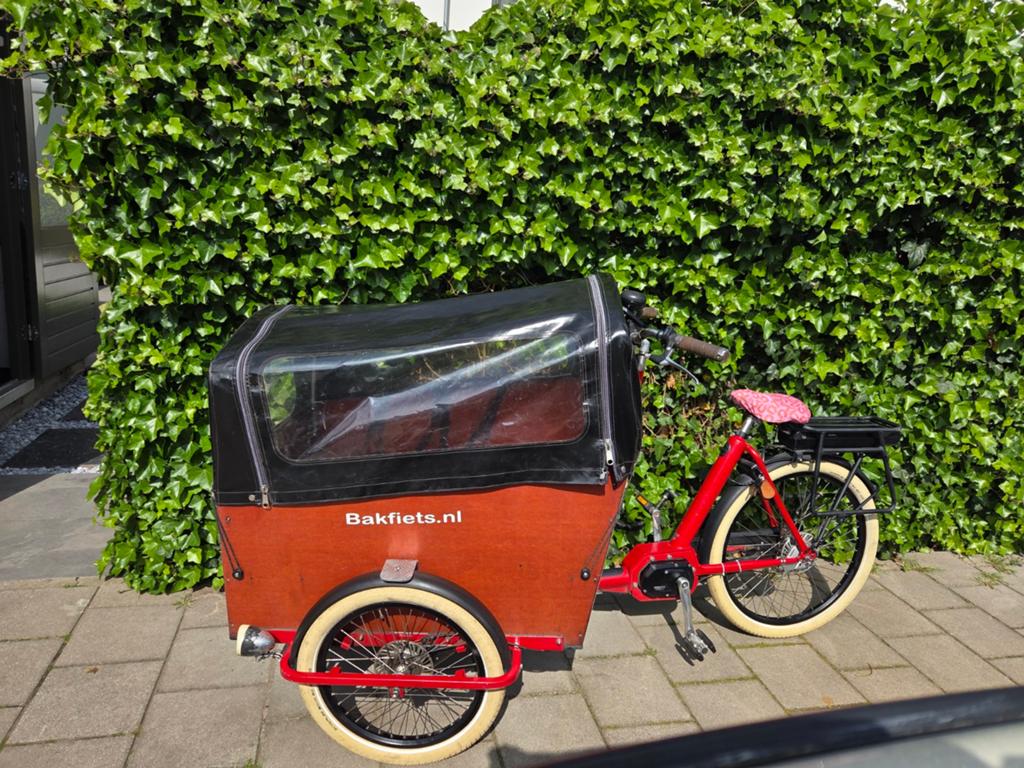 Elektrische bakfiets trike incl huif en hoes, 4 kinderen of meer, Gebruikt, Huif, Schijfrem