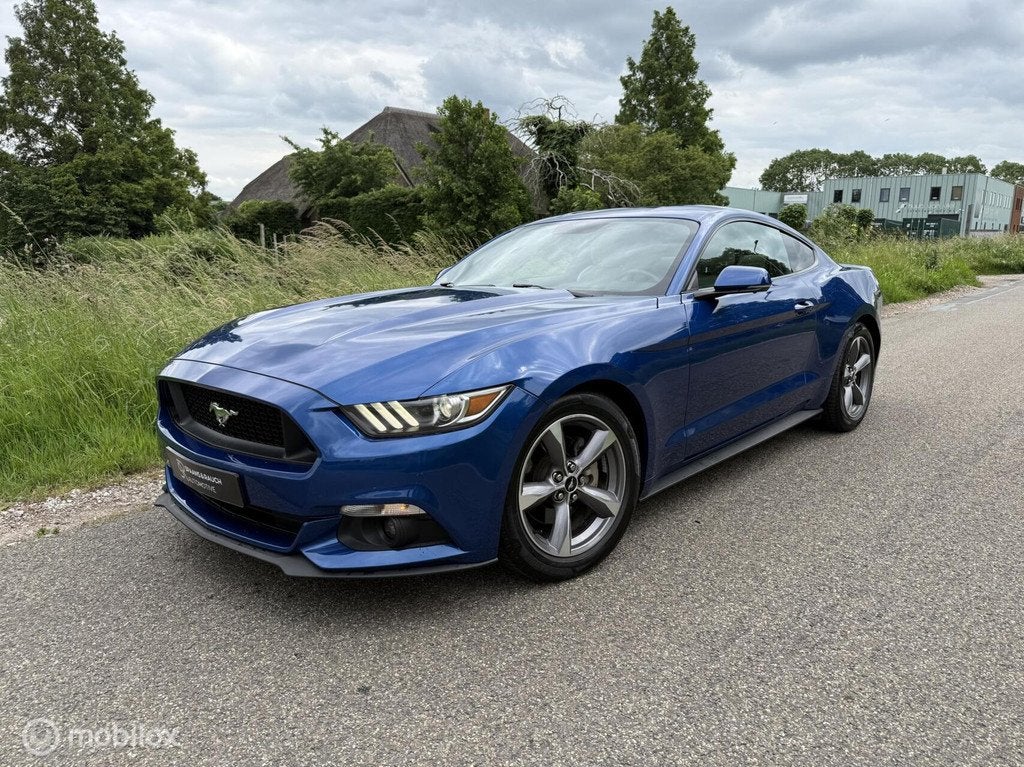 Ford Mustang 2.3 EcoBoost / Focal / Camera / Stoelventilatie, Achterwielaandrijving, Gebruikt, Euro 6, 4 cilinders
