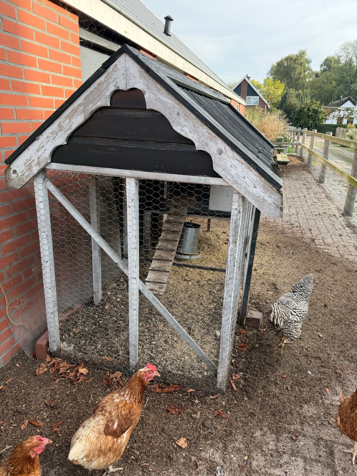 Kippenhok met ren, Dieren en Toebehoren, Ophalen, Kippenhok of Kippenren