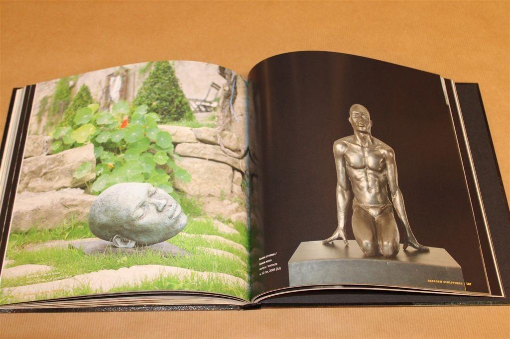 Marcel Julius Joosen — Beelden & Sculptures [2013], Ophalen of Verzenden, Zo goed als nieuw, Beeldhouwkunst