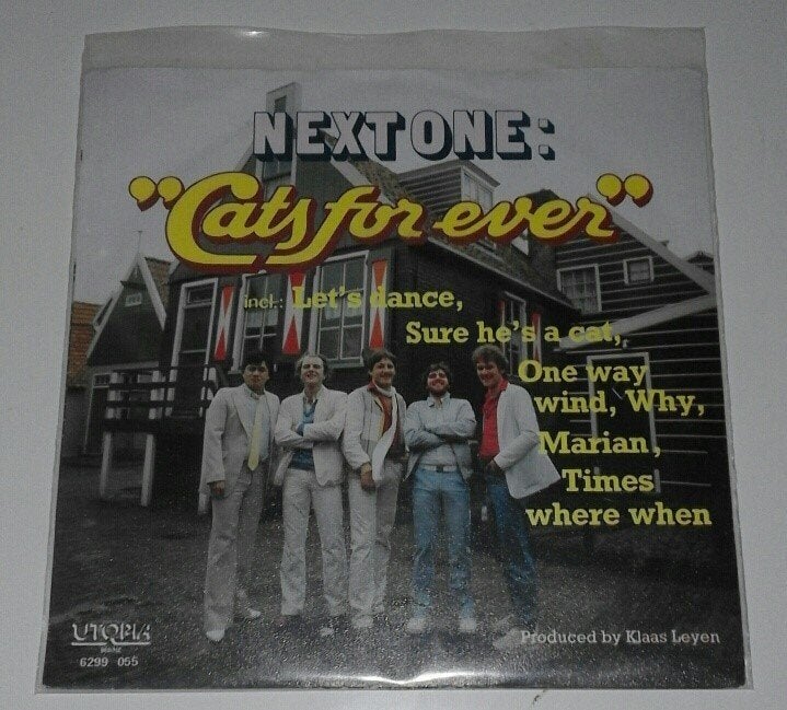 Next One - Cats forever Mooie vinylsingle, Cd's en Dvd's, Gebruikt, 7 inch, Ophalen of Verzenden, Pop