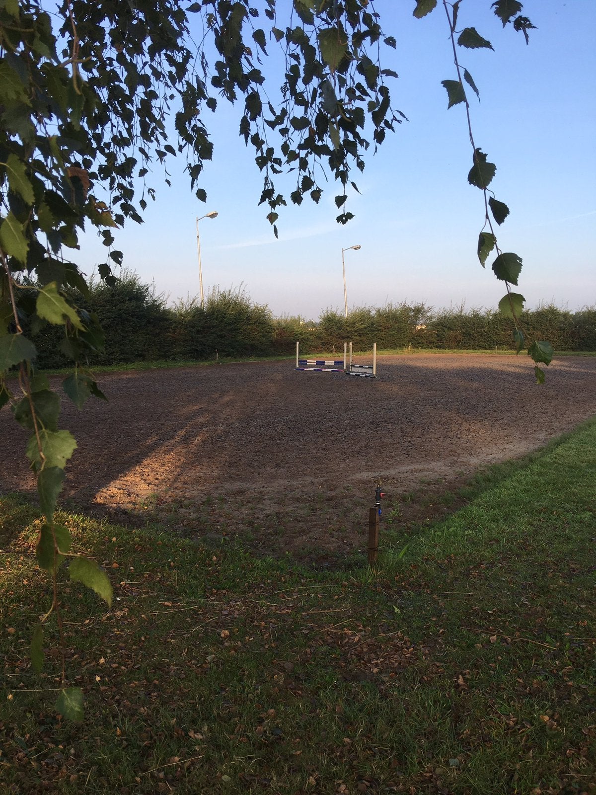 Buitenstallen op rustige pensionstal, Dieren en Toebehoren, Stalling en Weidegang, Stalling, 2 of 3 paarden of pony's
