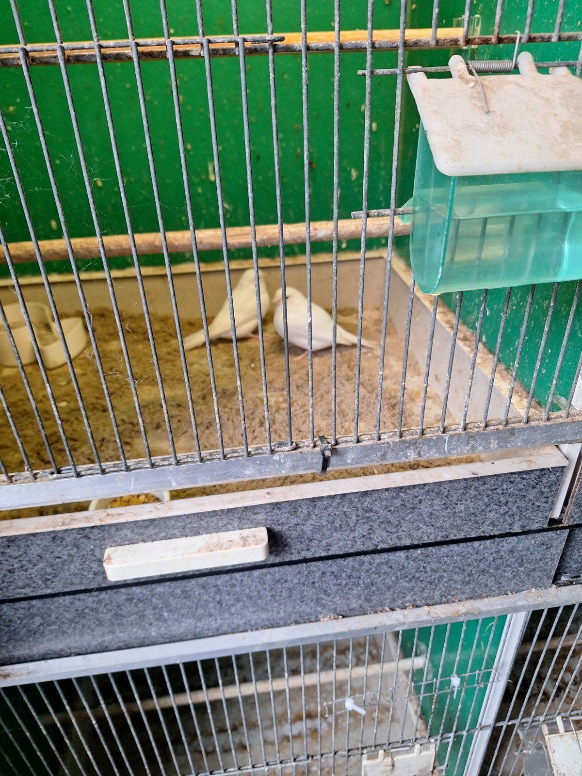 kanaries, Ophalen of Verzenden, Zo goed als nieuw, Hout, Vogelkooi