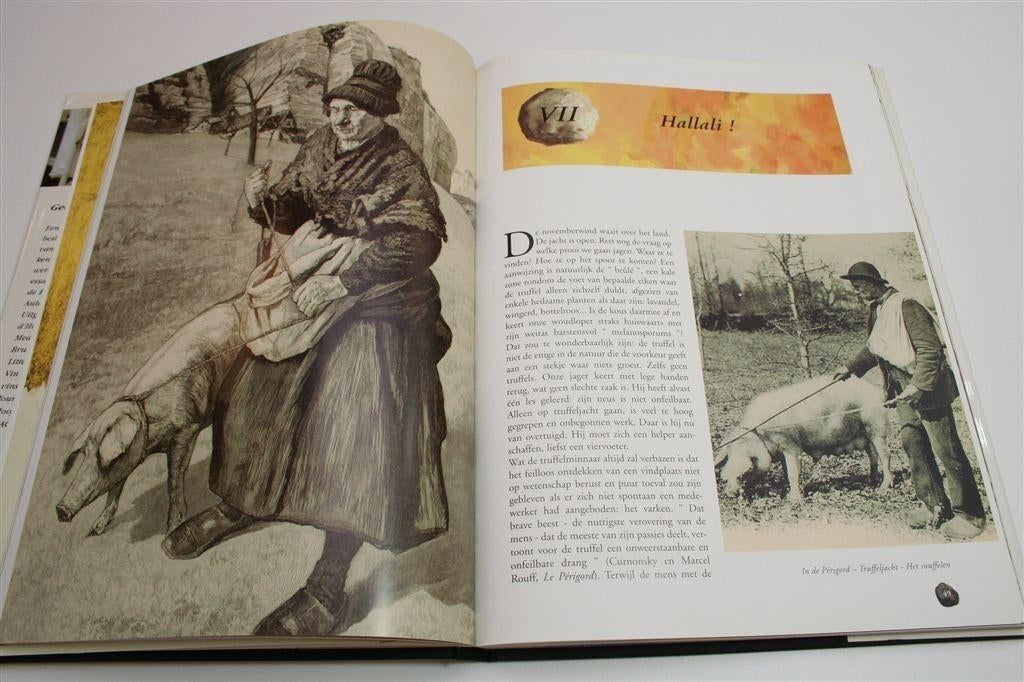 Een Hart vol Truffels — Rijk geïllustreerd Prachtboek, Ophalen of Verzenden, Zo goed als nieuw, Italië