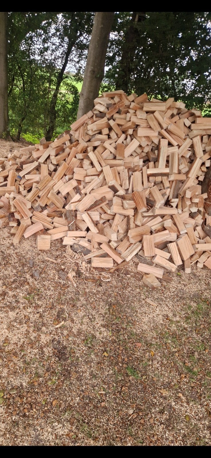 Eiken openhaardhout/brandhout/ haardhout 115 per kuub, Tuin en Terras, Minder dan 3 m³, Ophalen of Verzenden