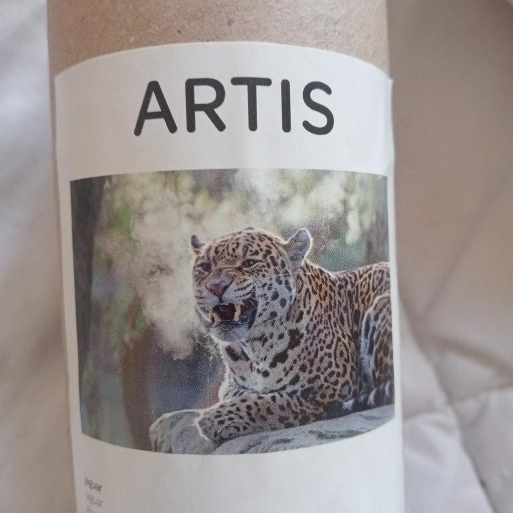 te koop mooie poster van een Jaguar, Ophalen, Deurposter of groter, Rechthoekig Liggend, Zo goed als nieuw
