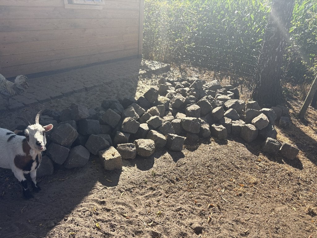 Kasseien (kinderkoppen), Ophalen, Gebruikt, Overige typen, 5 tot 10 m²