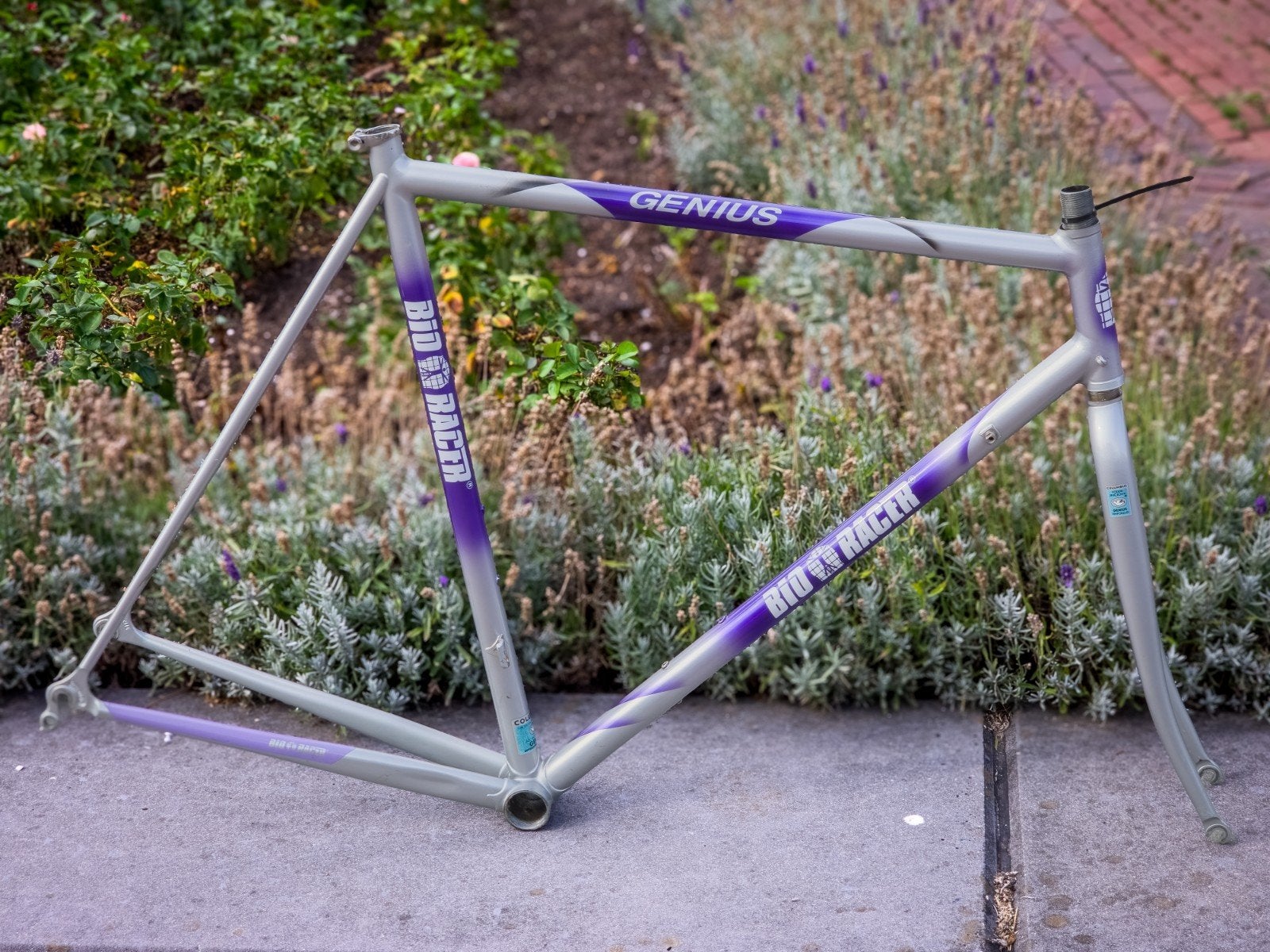 Bioracer frame Columbus Genius  - zeer licht!, Frame, Gebruikt, Br, Br
